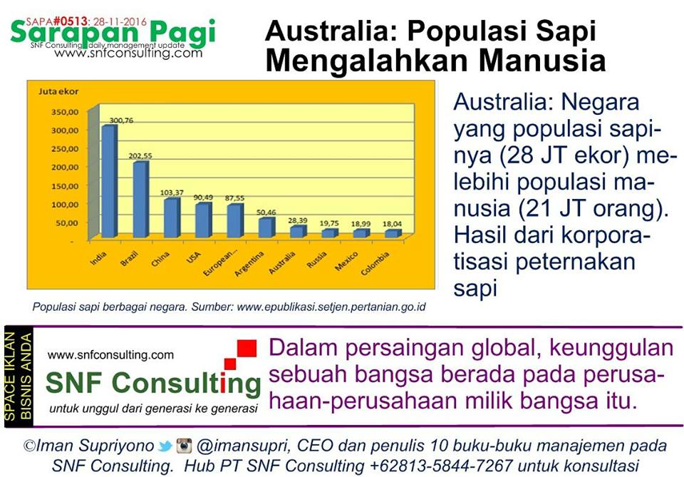 sapa0513-snfconsulting